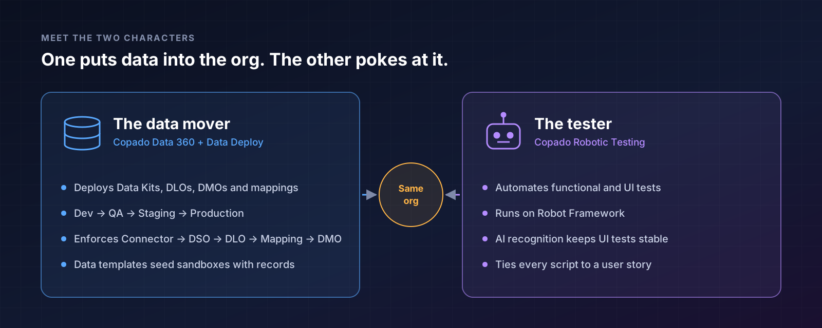 The data mover (Copado Data 360) and the tester (Copado Robotic Testing) share the same Salesforce org